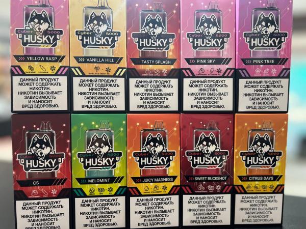 Одноразовый Husky CYBER  (8000 тяг)